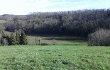 LA TOUR DE BUIS-isere