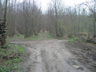 LA TOUR DE BUIS-isere