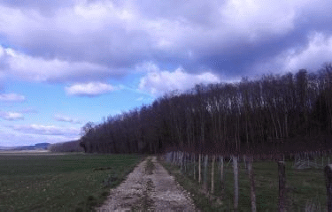 LA BALME-LES-GROTTES - SUD-EST-isere