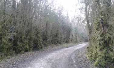 CREYS-MEPIEU (3)-isere