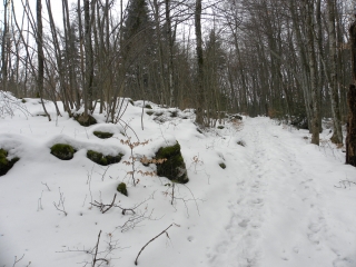 MONTAUD - DENT DE MOIRANS - RAQUETTE A NEIGE-isere