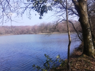 COMMELLE - VALLON DU RUISSEAU DU MOULIN-isere