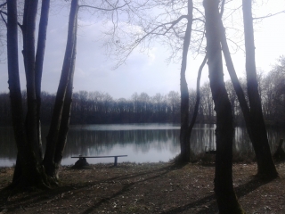COMMELLE - VALLON DU RUISSEAU DU MOULIN-isere