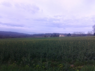 SAINT JULIEN DE L HERMS (2)-isere