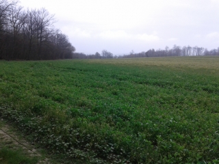 POMMIER-DE-BEAUREPAIRE-isere