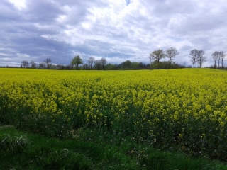 CHALONS - LES TERRES ROUGES ET LES REVOLETS-isere