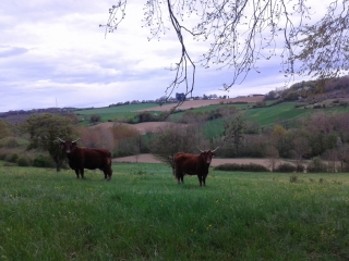 CHALONS - LES TERRES ROUGES ET LES REVOLETS-isere