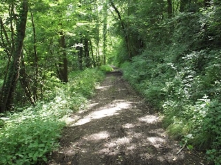SAINT-BAUDILLE-DE-LA-TOUR-isere
