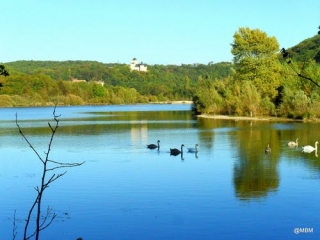 CREMIEU - LA BONARDELLE-isere