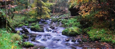 LANS-EN-VERCORS-isere