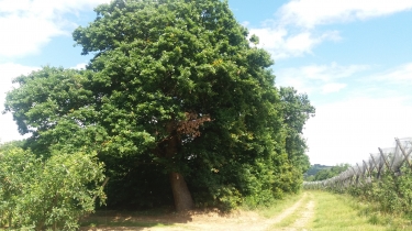 LES VERGERS D ASSIEU-isere
