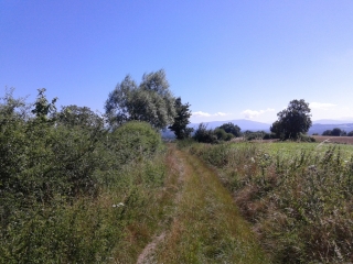 VENERIEU - SUR LES PAS DE GILLOU-isere