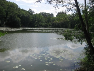 CULIN NORD OUEST - CIRCUIT DE TANGUY-isere