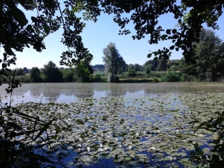 LA TOUR-DU-PIN - TOUR DES CHATEAUX-isere