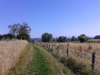 LA TOUR-DU-PIN - TOUR DES CHATEAUX-isere