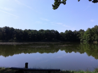 NANTOIN - TOUR DES ETANGS-isere