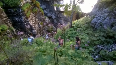 REFUGE GEVE - PAS DE LA CLE - LA GLACIERE - STELE DE L AVION-isere