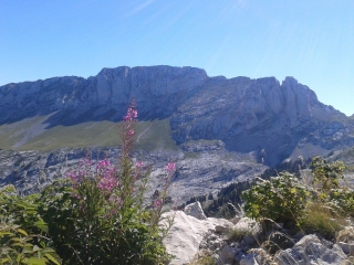 ARRIVEE DE LA TELECABINE DE LA COTE 2000 - COL DES 2 SOEURS-isere