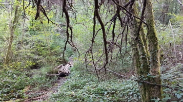 FAVERGES-DE-LA-TOUR - LE PISSOUD-isere