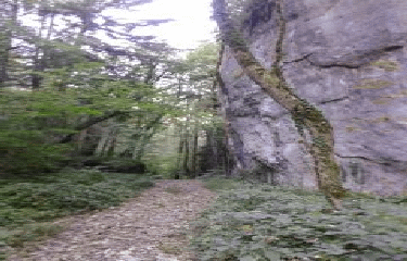 SAINT-JOSEPH-DE-RIVIERE-isere