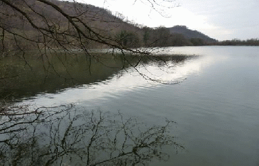 CHAMAGNIEU - PANOSSAS-isere