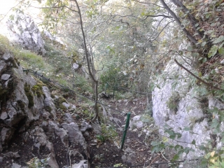 FONTANIL-CORNILLON - TOUR DU CUCHET-isere