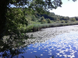 VEYSSILIEU - GRAND TOUR-isere