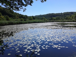 VEYSSILIEU - GRAND TOUR-isere