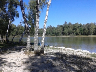 ROYBON - FORET DE CHAMBARANS-TOURBIERES-isere