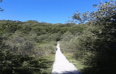 ROYBON - FORET DE CHAMBARANS-TOURBIERES-isere