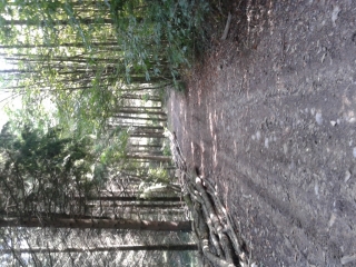 APPRIEU - CIRCUIT DU QUINQUIN-isere