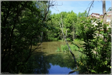 MONTBERNIER - BOIS DE LA CASSE - CHARBONNIERE-isere