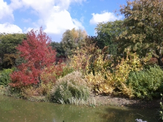 VERNIOZ - JARDIN DU BOIS MARQUIS-isere