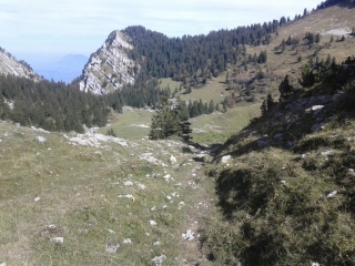 SAINT-JOSEPH-DE-RIVIERE - LA GRANDE SURE-isere