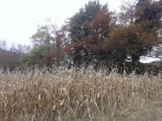 PANOSSAS - TOUR DES TROIS VILLAGES-isere