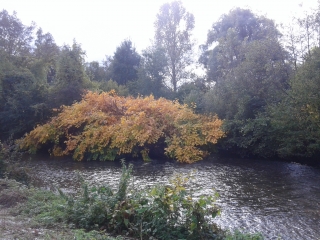 L ISLE D ABEAU-isere