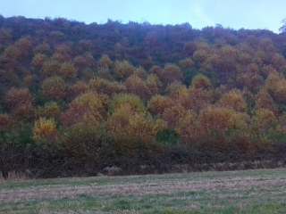 OYTIER-SAINT-OBLAS-isere