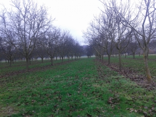 SAINT-ETIENNE-SAINT-GEOIRS-isere