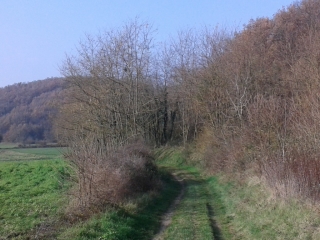 MOIDIEU - LES VIEUX CHEMINS-isere