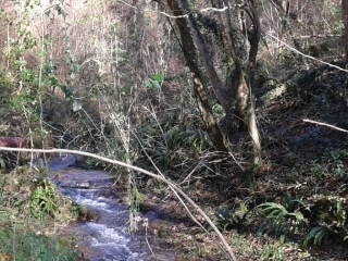 CHARNECLES - LE RI OLON-isere