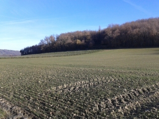 FARAMANS - CIRCUIT DU PARAPLUIE-isere