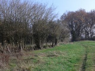 SAINT-PIERRE-DE-BRESSIEUX-isere