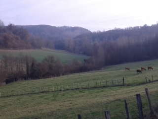 SAINT-PIERRE-DE-BRESSIEUX-isere