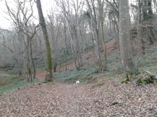 VEYSSILIEU (2) -isere