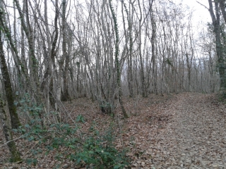 VEYSSILIEU (2) -isere