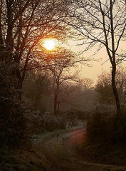 DIZIMIEU - LES 4 ETANGS-isere