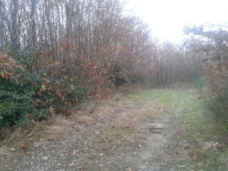 REVENTIN-VAUGRIS - SENTIER DE LA GERBOLLE-isere