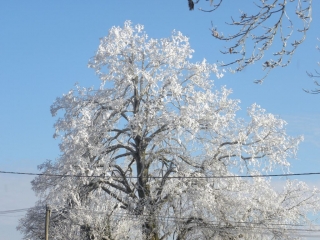 LA FRETTE - SOMMET DES BROSSES-isere