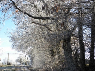 LA FRETTE - SOMMET DES BROSSES-isere