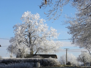 SAINT-ETIENNE-SAINT-GEOIRS - LES RIVOIRES-isere